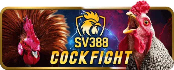 Cá cược thể thao đa dạng trên SV666